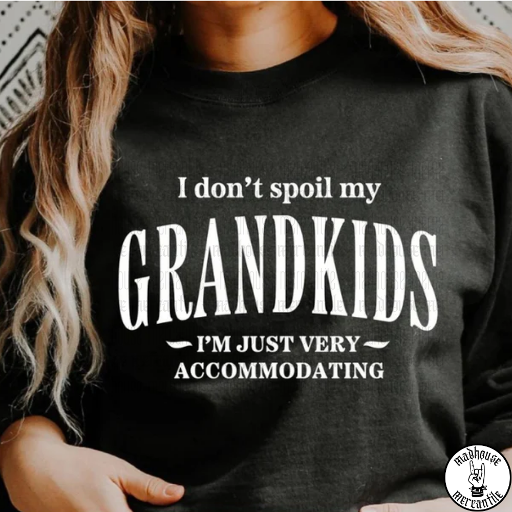 I Don't Spoil My Grandkids Shirt